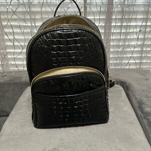 Brahmin Dartmouth Backback
